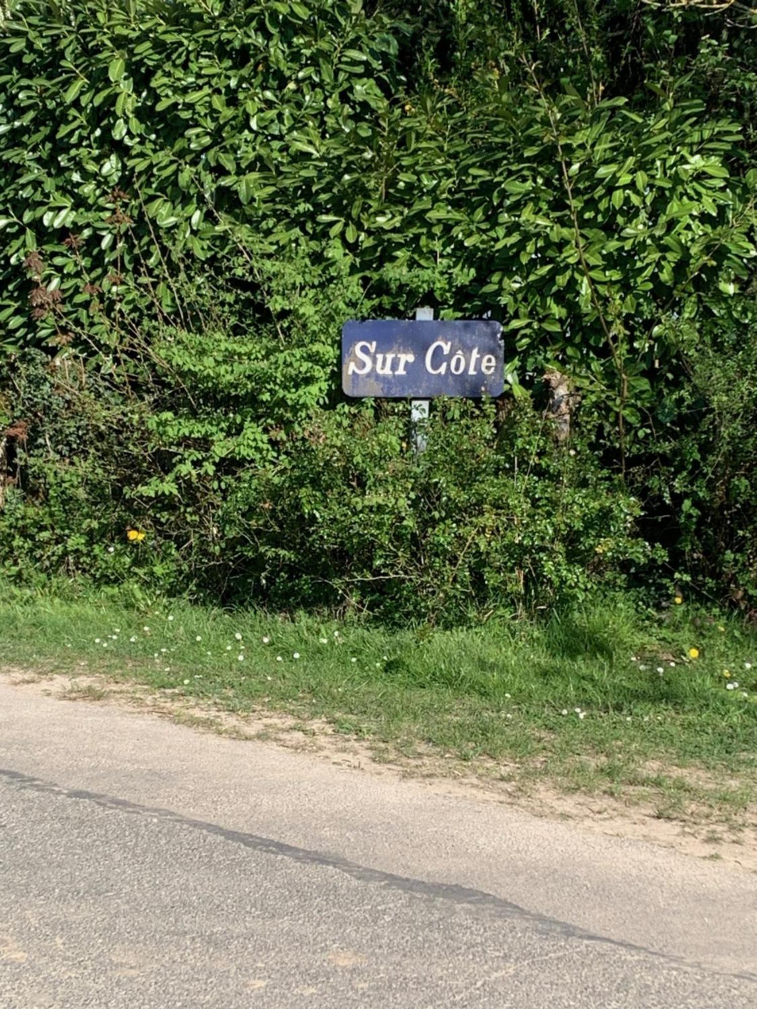 Вілла Sur Cote En Dombes Villette-sur-Ain Екстер'єр фото